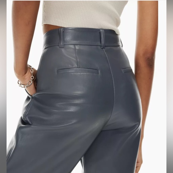 command pants -aritzia - Picture 3 of 5